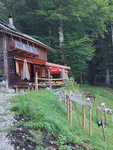 Ein rustikales Holzhaus umgeben von Bäumen. Auf der Wiese grasen einige Ziegen. | © TVB Ausseerland Salzkammergut/Petra Kirchschlager