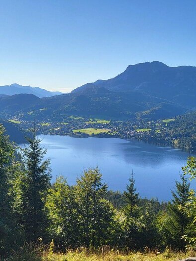 A picturesque landscape with a clear lake and surrounding mountains. The sky is bright blue and the trees encircle the scene. | © TVB Ausseerland Salzkammergut_Petra Kirchschlager