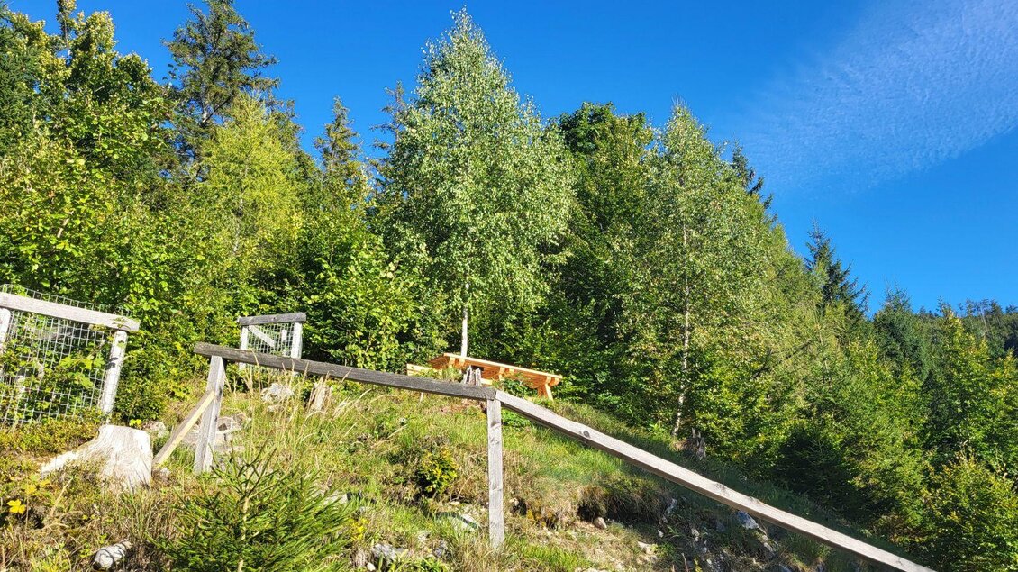 Ein klarer blauer Himmel über einer bewaldeten Landschaft. Ein Holzgeländer umgibt einen Tisch, der im Grünen steht. | © TVB Ausseerland Salzkammergut_Petra Kirchschlager