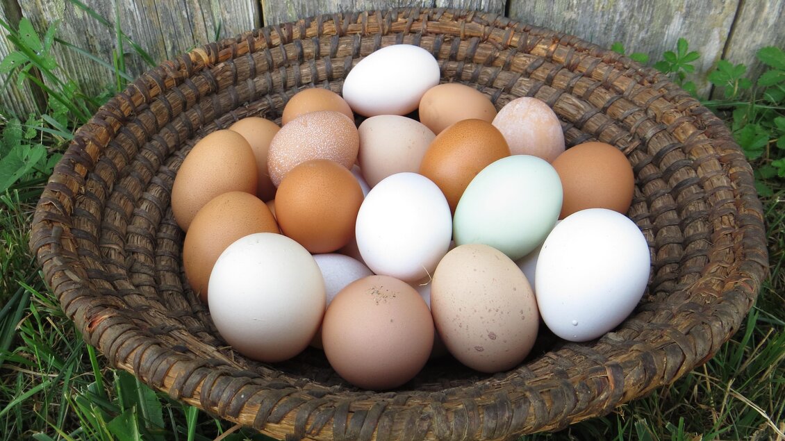 Ein Korb mit verschiedenen Eiern in unterschiedlichen Farben. Die Eier liegen auf grünem Gras vor einer rustikalen Holzoberfläche. | © Bio HOF Rauscher