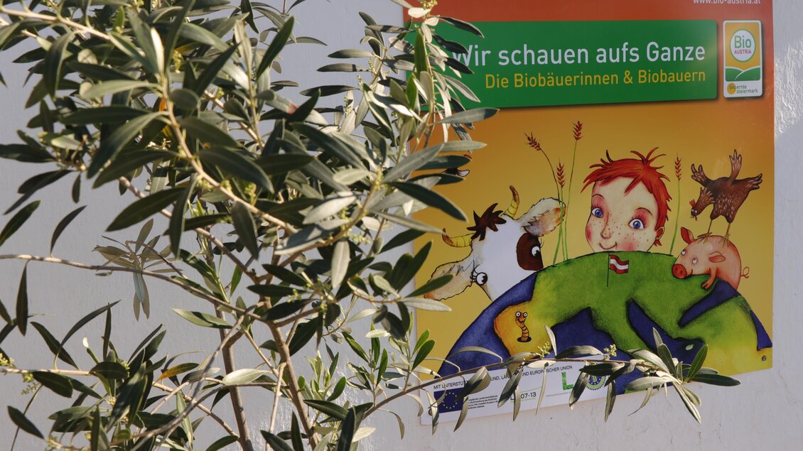 Ein bunter Poster mit einem Kind, das den Globus umarmt, umgeben von Tieren. Der Text auf dem Poster lautet: „Wir schauen aufs Ganze – Die Biobauern und Biobäuerinnen“. | © Biohof Rauscher