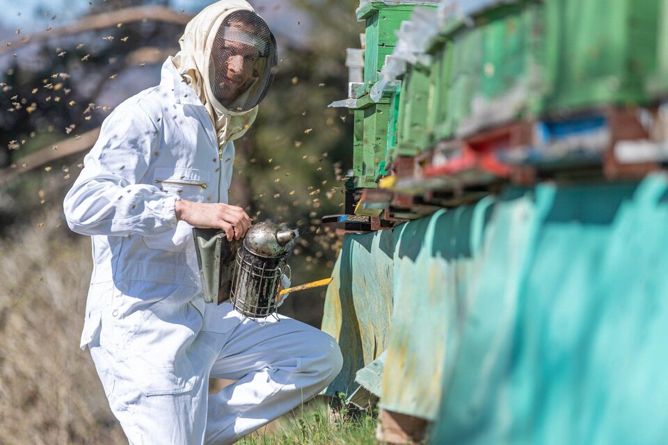 BIO Imkerei Gruber - Impression #1 | © Jürgen Fuchs