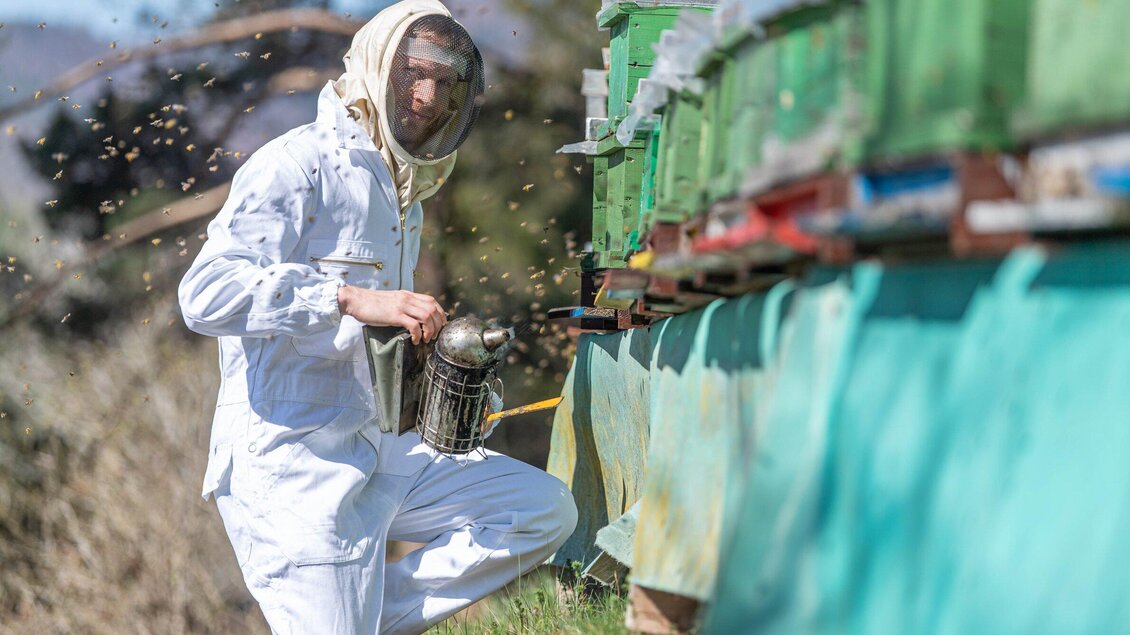 Ein Imker in Schutzkleidung arbeitet an seinen Bienenstöcken. Er hält einen Smoker in der Hand, während Bienen um ihn fliegen. | © Jürgen Fuchs