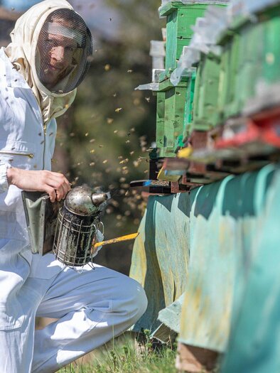 Ein Imker in Schutzkleidung arbeitet an seinen Bienenstöcken. Er hält einen Smoker in der Hand, während Bienen um ihn fliegen. | © Jürgen Fuchs