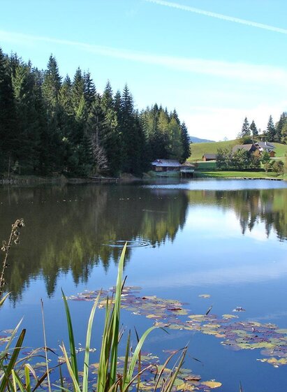 Badesee in Krakaudorf | Mario Grillhofer | © Badesee Krakaudorf