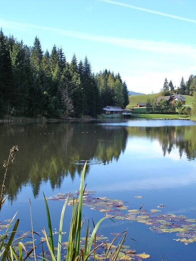Badesee in Krakaudorf | © Badesee Krakaudorf