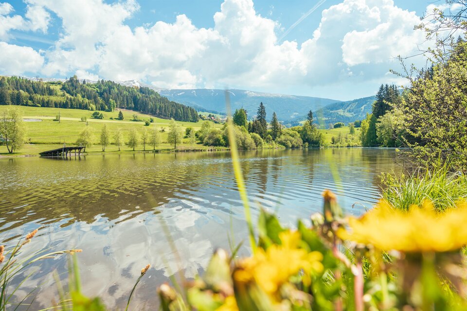 Swimming lake Mühlen - Impression #1 | © Tourismusverband Murau