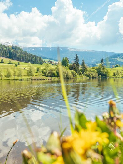 Badesee Mühlen | © Tourismusverband Murau