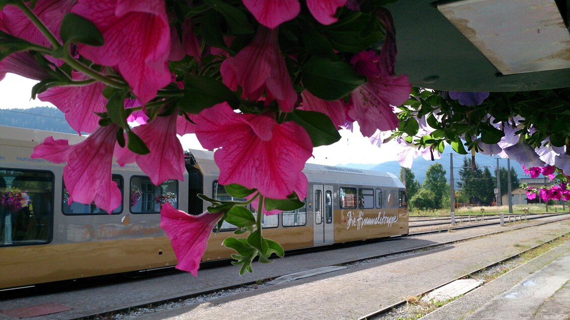 Ein Zug steht an einem Bahnhof, umgeben von bunten, blühenden Blumen. Die Sonne scheint und die Landschaft im Hintergrund ist grün und schön. | © TV Hochsteiermark