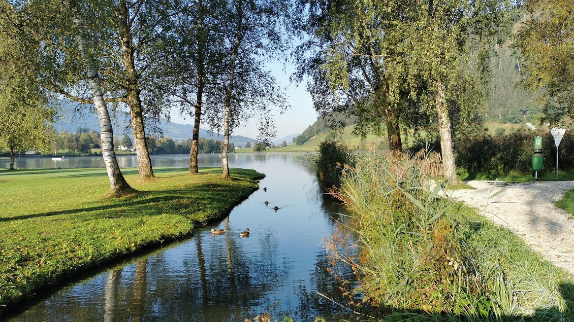 Ein ruhiger Fluss mit grünem Ufer und Bäumen. Im Wasser schwimmen einige Enten. | © Landentwicklung Steiermark