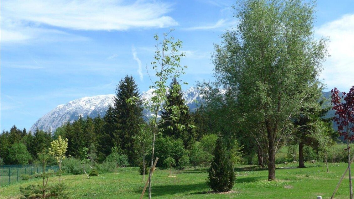 Baumlehrpfad | © Fanz Gepp