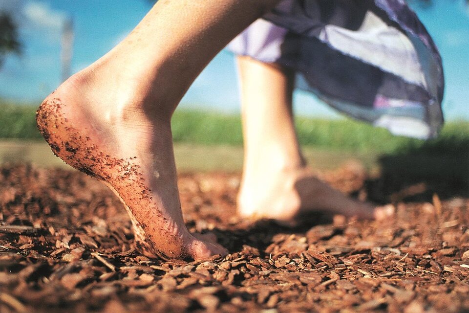 Barefoot Park Wenigzell - Impression #1 | © Barfußpark Wenigzell