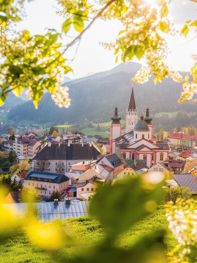 Basilika im Frühling | © TV Hochsteiermark | Fred Lindmoser | © TV Hochsteiermark