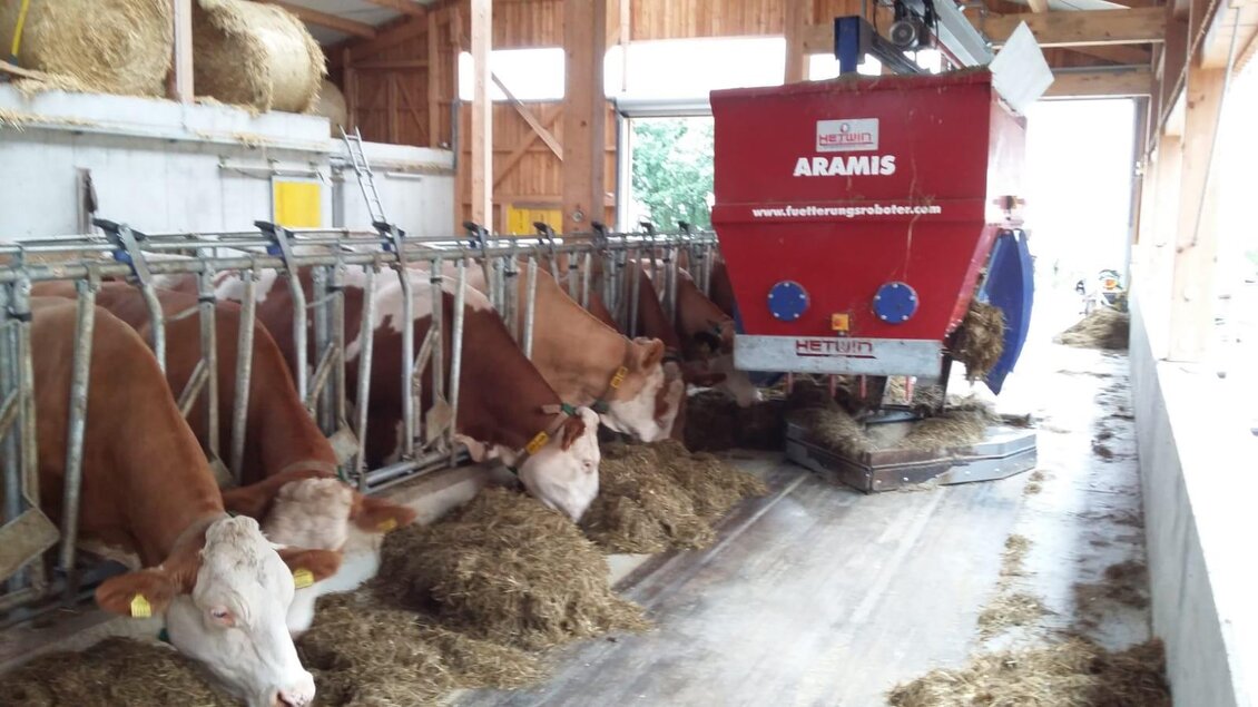 Beim Öllerbauer_Viehwirtschaft_Oststeiermark | © Tanja Hammerl