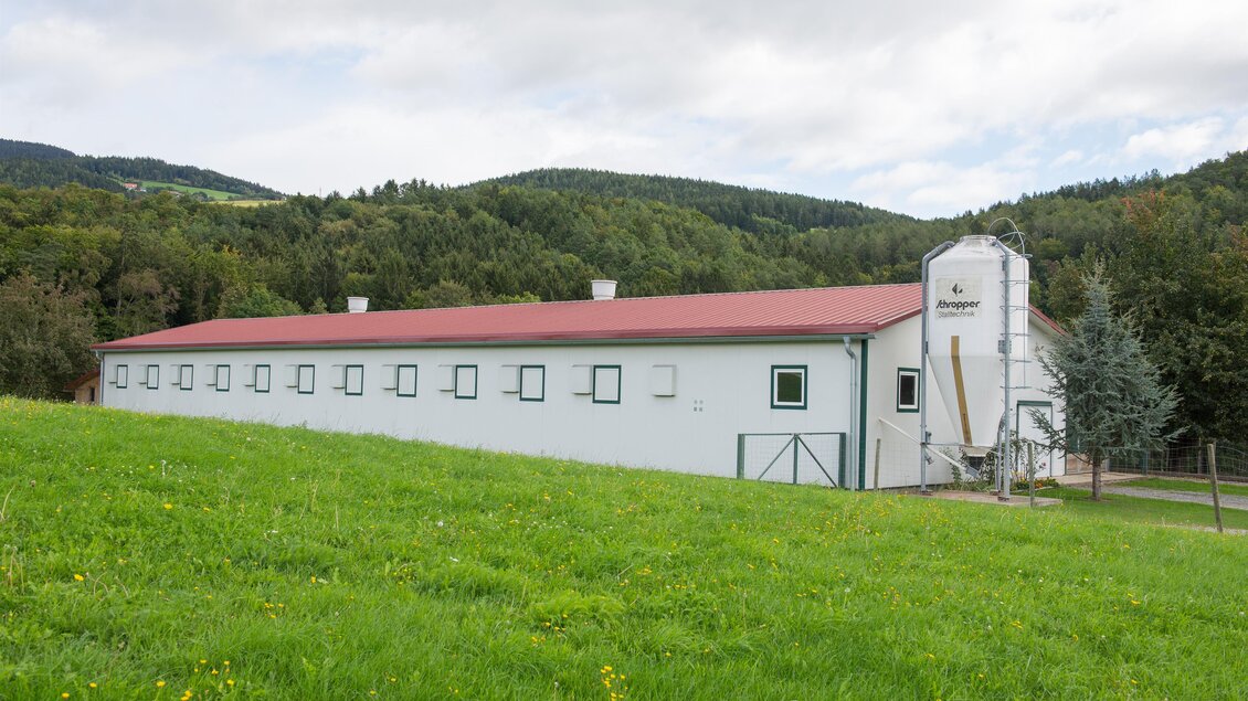 Bauernhof_BH Ebner_Oststeiermark | © Helmut Schweighofer