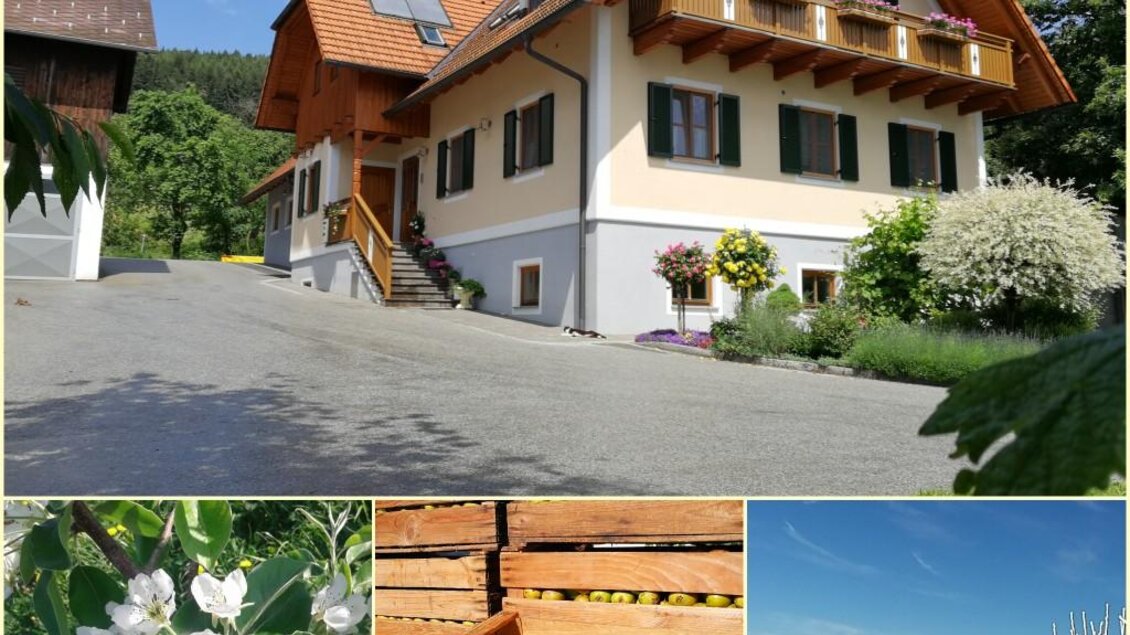 Ein schönes Landhaus mit einem großen Garten und blühenden Pflanzen. Im Hintergrund sind blauer Himmel und grüne Hügel sichtbar. | © Bauernhof Buchegger