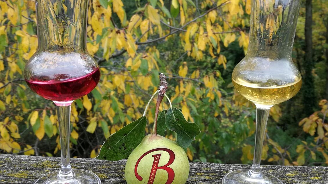 Zwei Gläser mit rot und goldfarbenem Getränk stehen auf einem Holztisch. Dazwischen liegt eine grüne Birne mit dem Buchstaben „B“. | © Bauernhof Buchegger