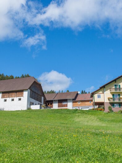 BH Hipfl_NUP Pöllauer Tal_Oststeiermark | © Helmut Schweighofer