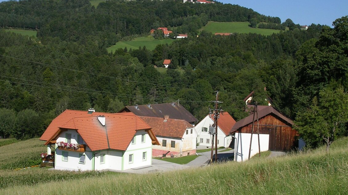 Bauernhof Mayerhofer_Hof_Oststeiermark | © Familie Mayerhofer