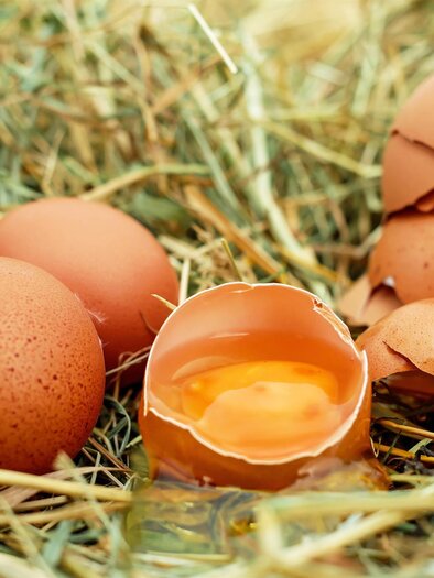 Gaalkönig-Eier-Murtal-Steiermark | © Pixabay