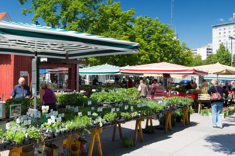 Bauernmarkt am Lendplatz - Impression #1 | © Graz Tourismus - Harry Schiffer