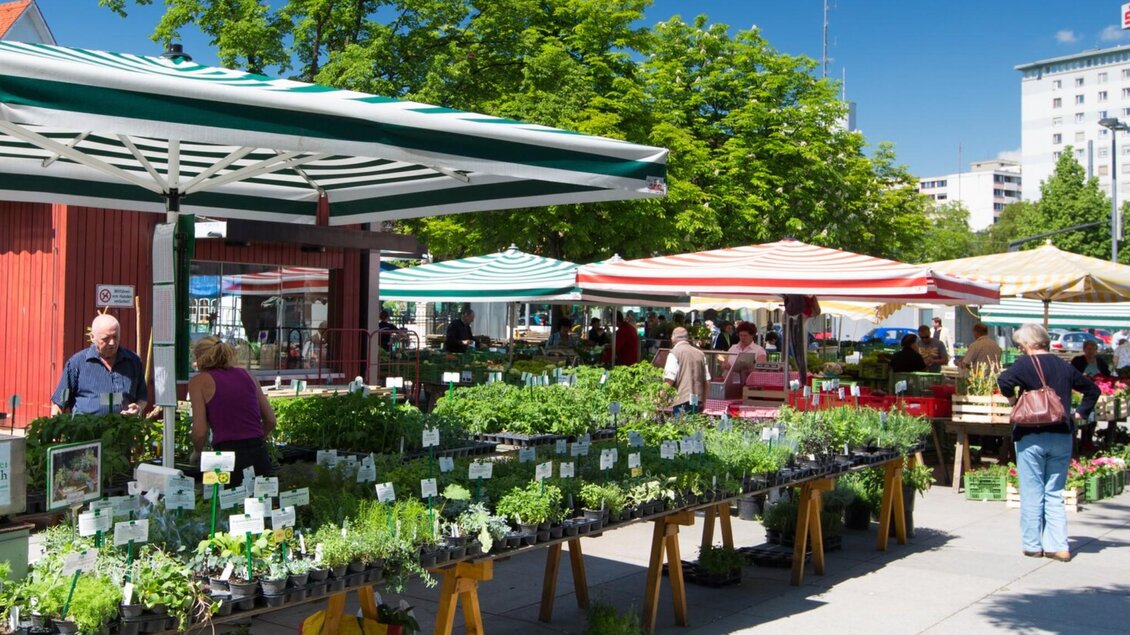 Der bunte Bauernmarkt am Lendplatz in Graz mit Ständen voller Kräuter und frischen Produkten.  | © Graz Tourismus - Harry Schiffer