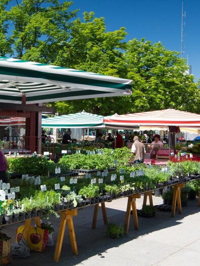 Der bunte Bauernmarkt am Lendplatz in Graz mit Ständen voller Kräuter und frischen Produkten.  | © Graz Tourismus - Harry Schiffer