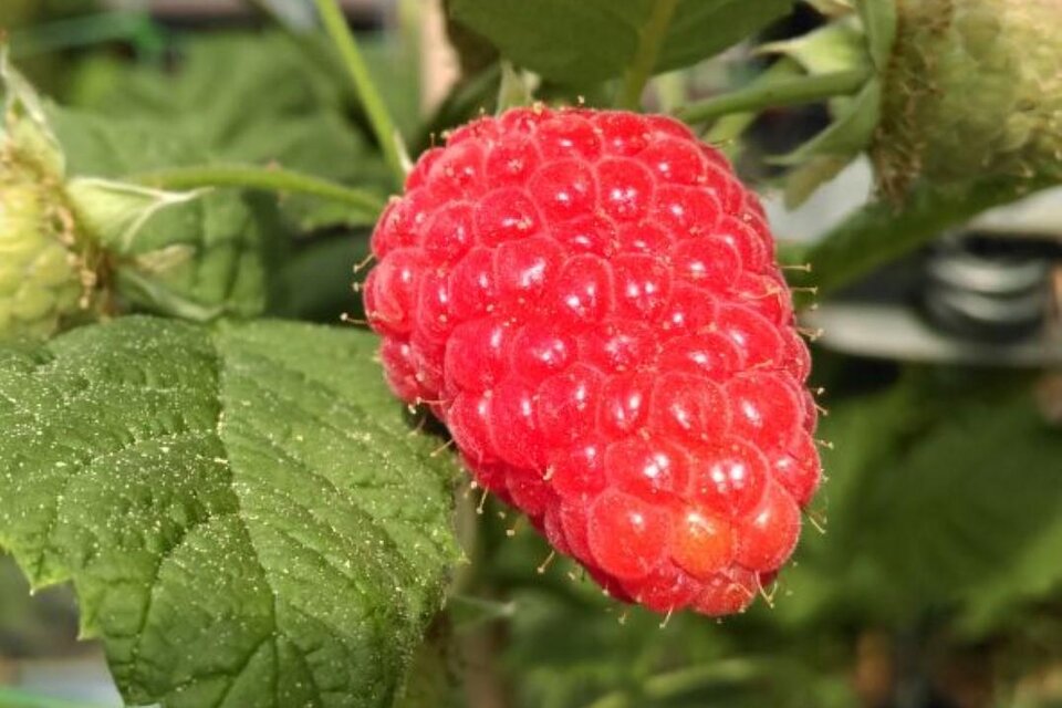 Beeren Bernhart - Impression #1 | © Beeren Bernhart