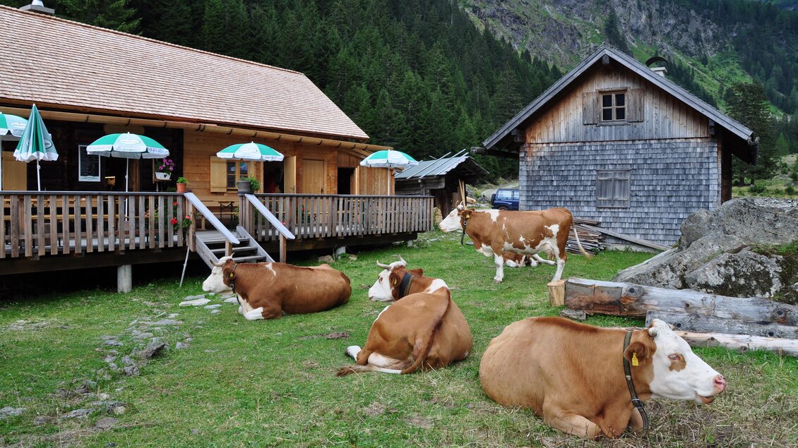   | © Berallerhütte-Kotalm