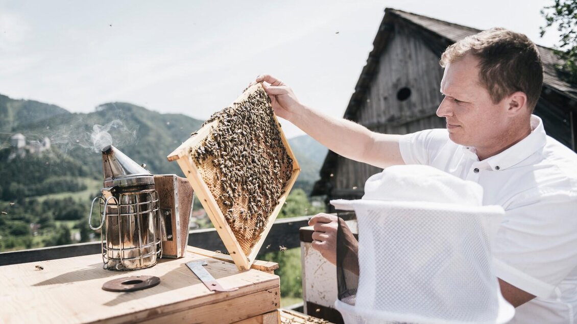 Ein Imker betrachtet einen Wabenrahmen mit Bienen. Im Hintergrund sind Berge und ein blauer Himmel zu sehen. | © Stefan Leitner