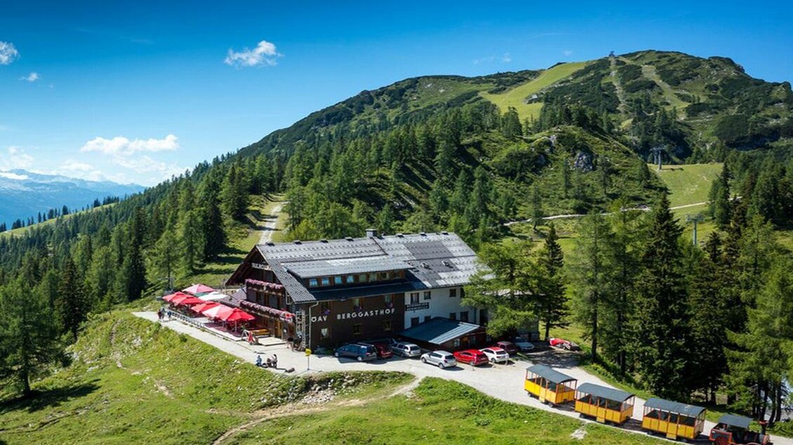 Eine Berghütte umgeben von grünen Wäldern und Bergen. Im Vordergrund sind Tische und Stühle auf der Terrasse zu sehen. | © Hollhaus