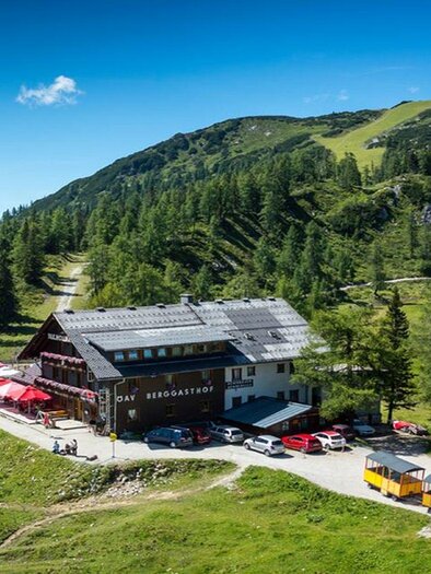 Eine Berghütte umgeben von grünen Wäldern und Bergen. Im Vordergrund sind Tische und Stühle auf der Terrasse zu sehen. | © Hollhaus