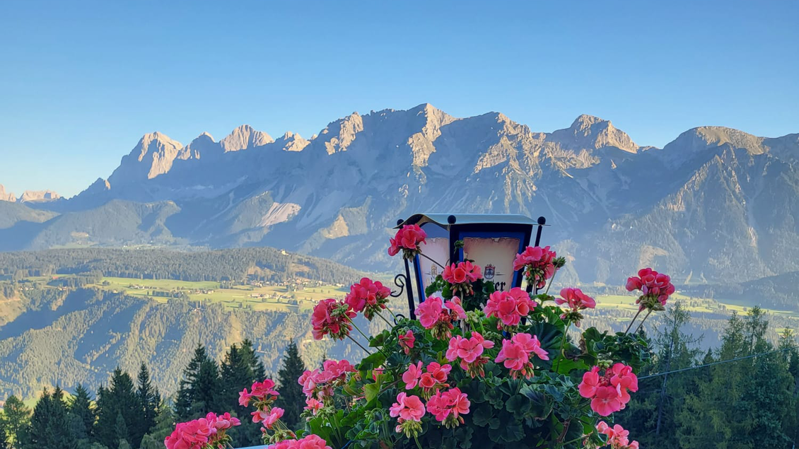 Ein schöner Ausblick auf gebirgige Landschaften mit Blumen auf einem Balkon. Der Himmel ist klar und blau. | © Berggasthof Jager GmbH