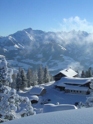 Winter | © Berggasthof Steinerhaus