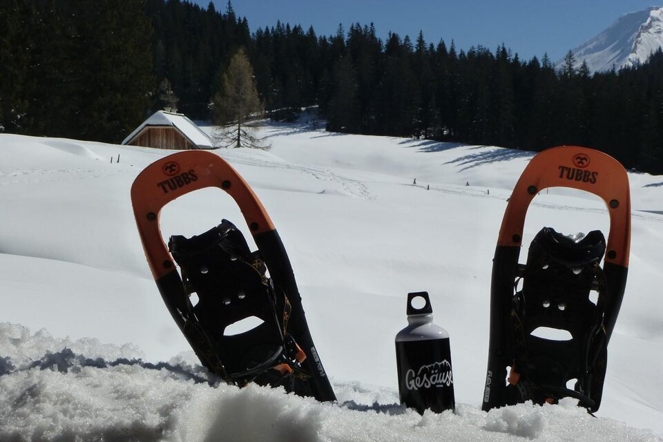Mountain hiking guide Reinhard Weißensteiner - Impression #1 | © Peter Schnellnast