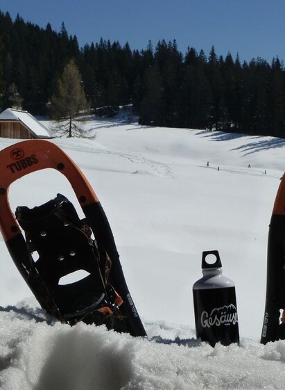 Auf Tour mit dem Bergwanderführer | © Peter Schnellnast | © Peter Schnellnast