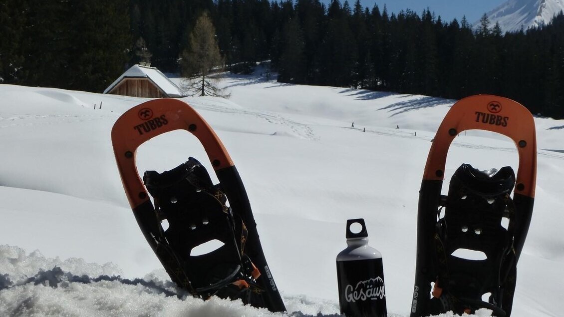 Auf Tour mit dem Bergwanderführer | © Peter Schnellnast