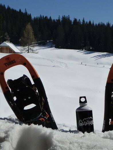 Auf Tour mit dem Bergwanderführer | © Peter Schnellnast