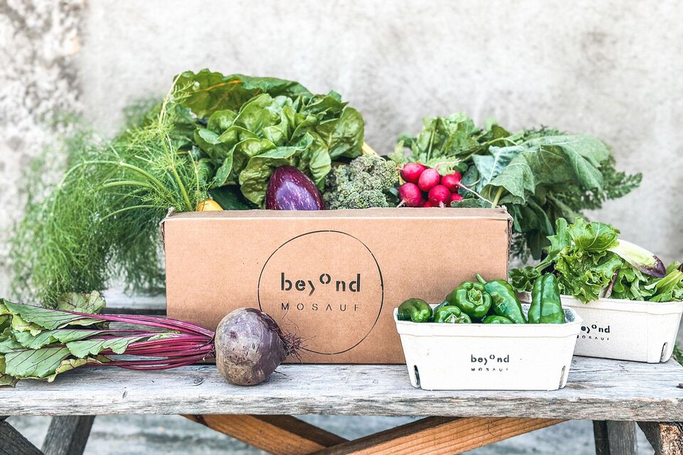 Beyond Mosauf - Impression #1 | © Beyond Mosauf