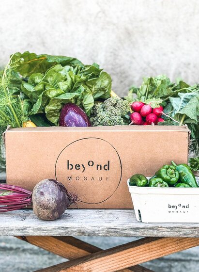 BeyondMosauf-Box-Murtal-Steiermark | Beyond Mosauf | © Beyond Mosauf