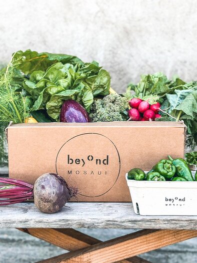 BeyondMosauf-Box-Murtal-Steiermark | © Beyond Mosauf