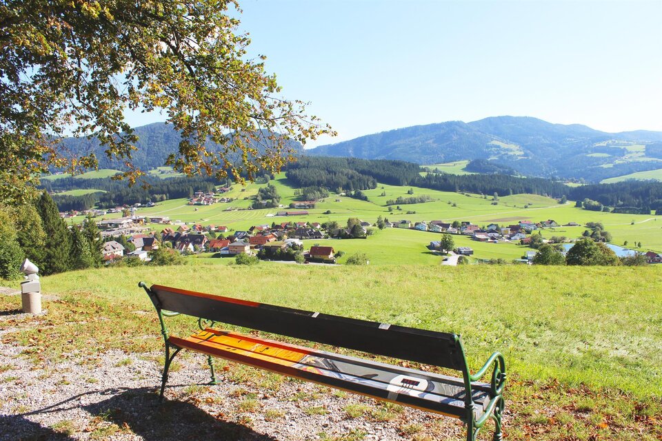 Bee and Forest educational trail Passail - Impression #1 | © Tourismusverband Oststeiermark