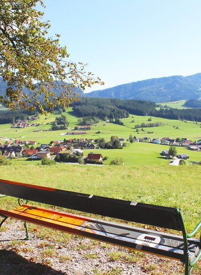Bee educational trail_Lindenberg_Eastern Styria | Christine Pollhammer | © Tourismusverband Oststeiermark
