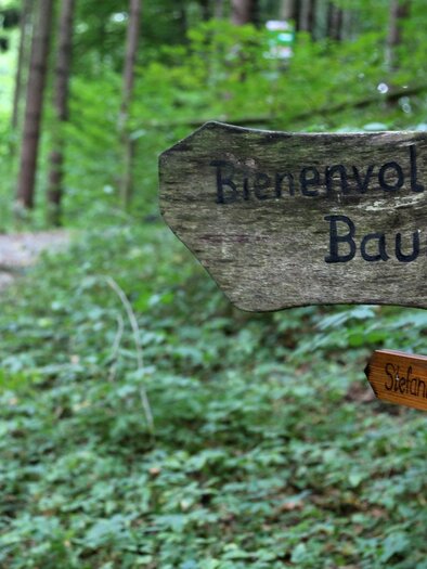 Ein Wanderer mit Stöcken geht einen Waldweg entlang. Ein Holzschild zeigt den Weg mit der Aufschrift "Bienenwohl im Baumstamm".