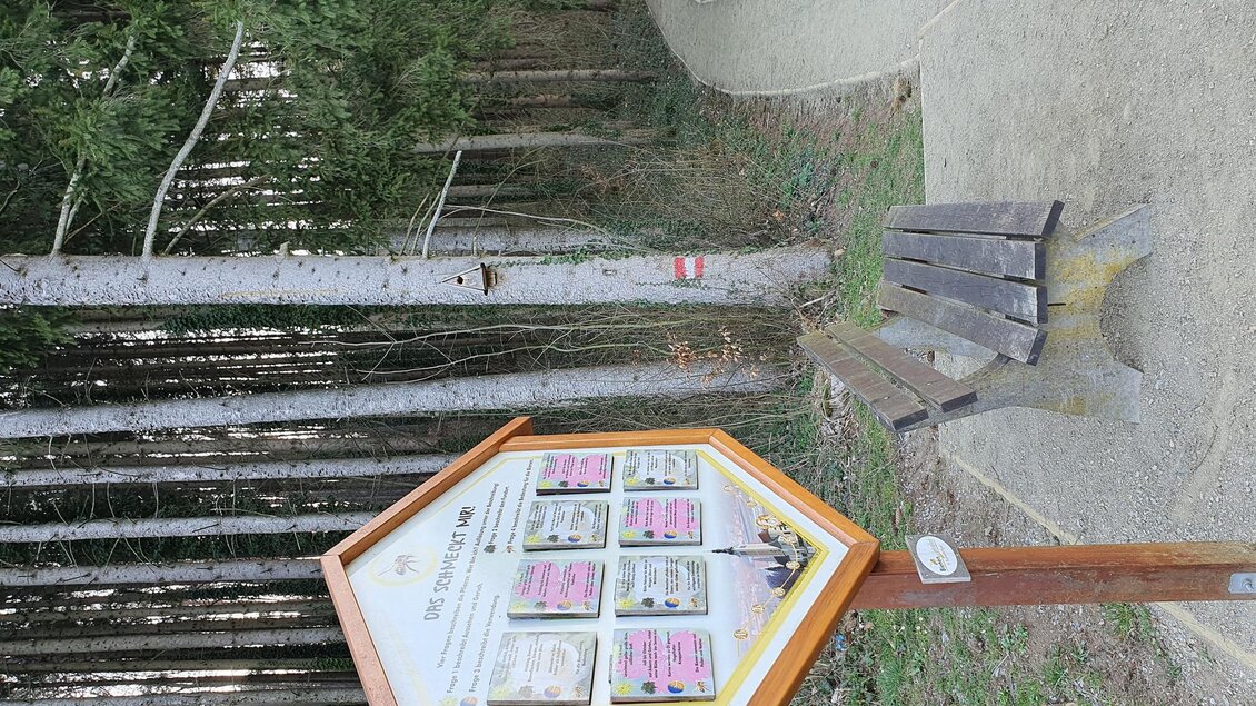 Ein Wegweiser im Wald mit Informationen zu Wanderwegen. Im Vordergrund steht eine Bank zum Ausruhen. | © Steininger