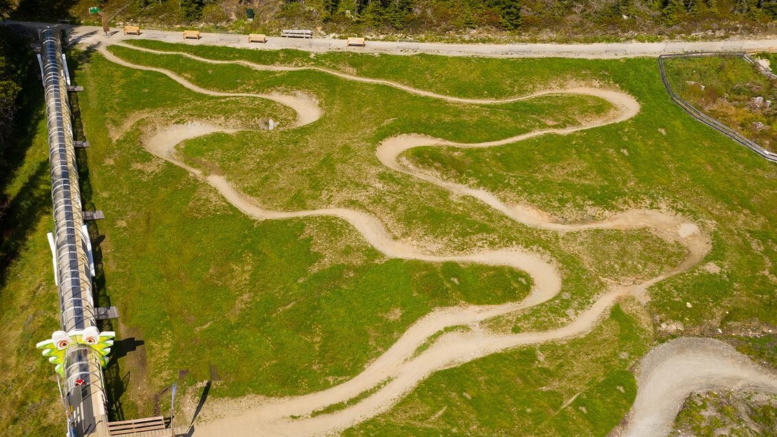 Eine kurvenreiche Fahrradstrecke verläuft über eine grüne Wiese. Im Hintergrund sind Bäume und ein klarer Himmel zu sehen. | © Josh Absenger