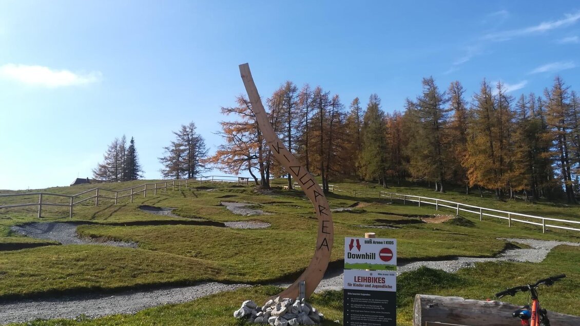 Ein Radweg in den Bergen mit einer Holzskulptur im Vordergrund. Im Hintergrund sind grüne Wiesen und Bäume zu sehen.