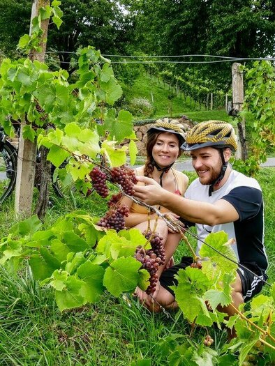 Genussvolle Radtouren | © Radverleih Aktiv Bike