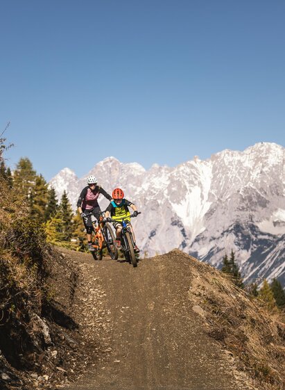   | info@rolandhaschka.com | © Roland Haschka | Alpreif