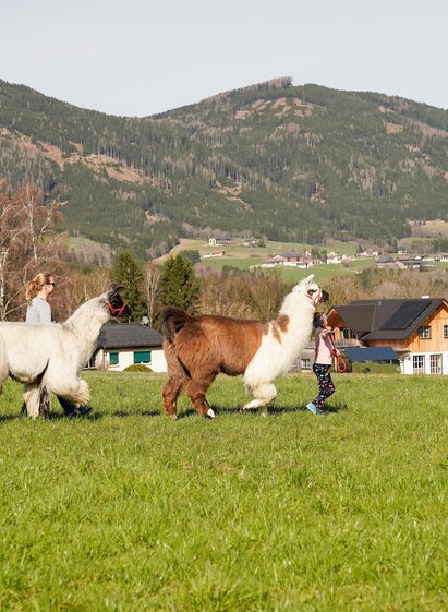 Binderhof-Wanderung1-Murtal-Steiermark | Binderhof | © Binderhof